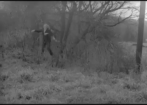 gif2